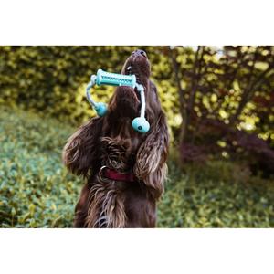 Dog toy stick with rubber cord Nobby Pet Dental Line image-3