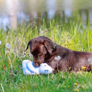 Flytande gosedjur med isbjörn för hundar Nobby Pet image-1