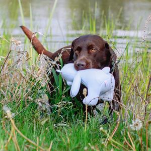 Flytande gosedjur med isbjörn för hundar Nobby Pet image-3