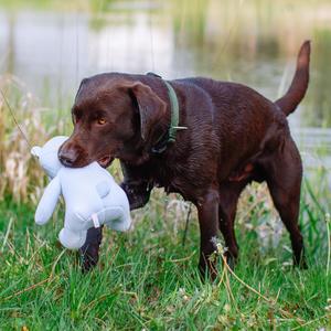 Flytande gosedjur med isbjörn för hundar Nobby Pet image-4