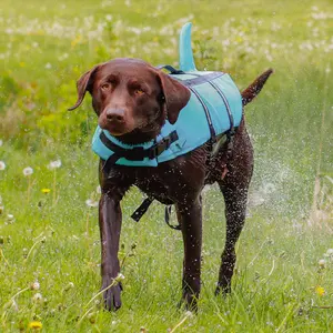 Reddingsvest voor honden Nobby Pet Sharki image-1