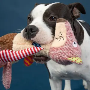 Peluches pour chien renard Nobby Pet image-2