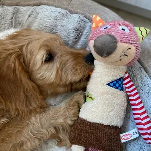 Peluches pour chien renard Nobby Pet image-3