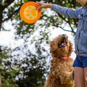 Frisbees aus Tpr für Hunde Nobby Pet Paw image-1