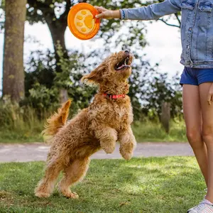 Frisbees aus Tpr für Hunde Nobby Pet Paw image-2