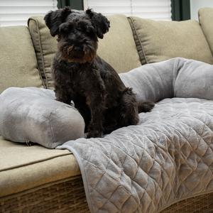 product/n/o/nobby-pet_61772_2.jpg