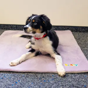 Κουβέρτα για σκύλους Nobby Pet Puppy image-2