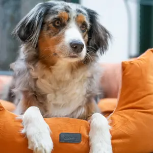 Τετράγωνο καλάθι άνεσης για σκύλους Nobby Pet Cumba image-1
