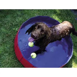 Hundpool Nobby Pet image-1