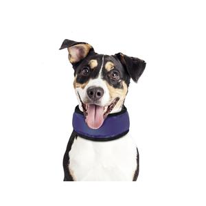 Collares refrigerantes para perros Nobby Pet S image-3