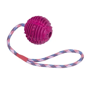 Rubber ball with rope for dogs Nobby Pet image-0