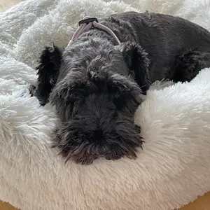Κλασικό φιλόξενο κρεβάτι donut για σκύλους Nobby Pet Esla image-1