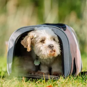 Dog carrier backpack Nobby Pet Plata image-2