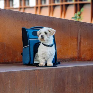Dog carrier backpack Nobby Pet Rana image-1