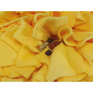 Χαλάκι ανακάλυψης για σκύλους Nobby Pet Bone image-1