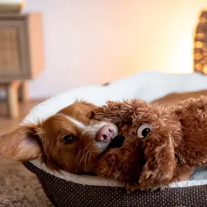 Gosedjur för hundar Nobby Pet Schlappi image-3