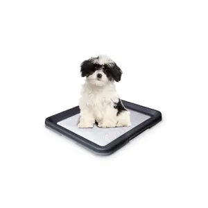 Χαλάκι για σκύλο Nobby Pet image-0