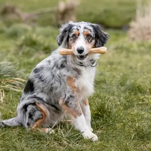 Knochen für Hunde Nobby Pet image-1