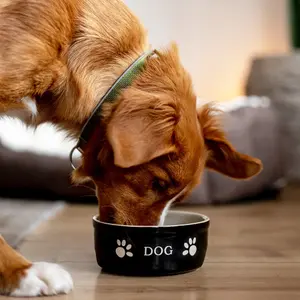 Ceramic dog bowl Nobby Pet Dog image-1