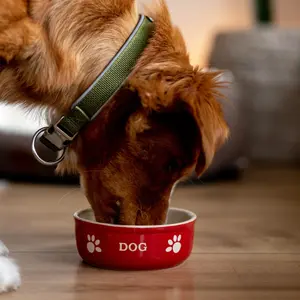 Ceramic dog bowl Nobby Pet Dog image-2