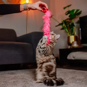 Kattebold med fjer Nobby Pet image-2