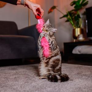 product/n/o/nobby-pet_71924_3.jpg