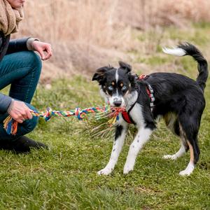 Liny dla psów 2 węzły Nobby Pet image-2
