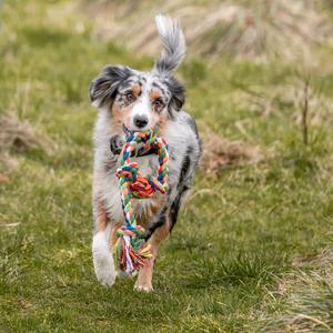 Liny dla psów 2 węzły Nobby Pet image-3