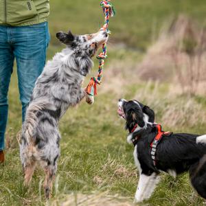 Liny dla psów 2 węzły Nobby Pet image-4
