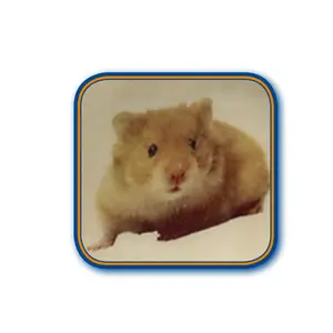 Κεραμική ταΐστρα για χάμστερ Nobby Pet image-1