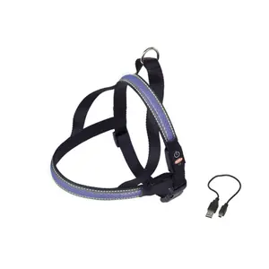 Νορβηγική ζώνη για σκύλους Nobby Pet Flash Mesh image-0