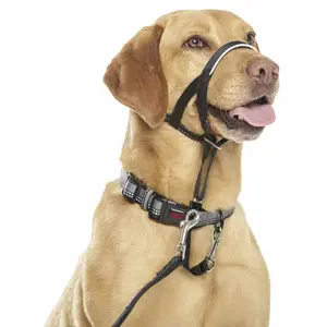 Focinho de cão Nobby Pet Halti image-1