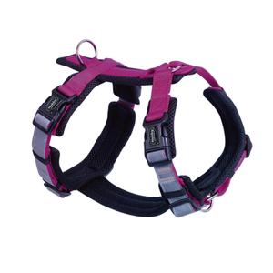 80446-64-hundsele-nobby-pet-daily-walk-comfort-hallon-xs