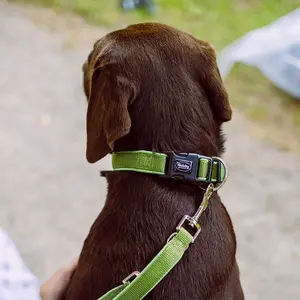 Obroża dla psa Nobby Pet Classic Preno image-0