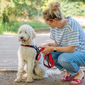 Harnais norvégien pour chien Nobby Pet Mesh Preno image-1