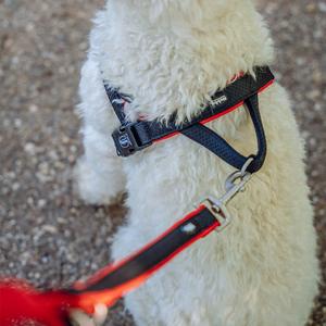 Harnais norvégien pour chien Nobby Pet Mesh Preno image-2