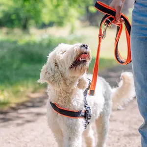 Harnais norvégien pour chien Nobby Pet Mesh Preno image-1