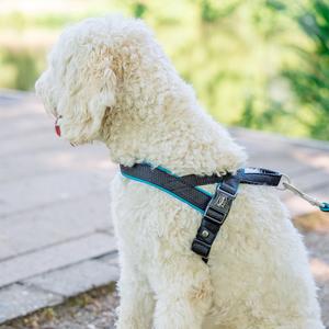 Harnais norvégien pour chien Nobby Pet Mesh Preno image-1