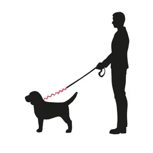 Ελαστικές λουριές για σκύλους Nobby Pet Soft Stop Belt M image-3