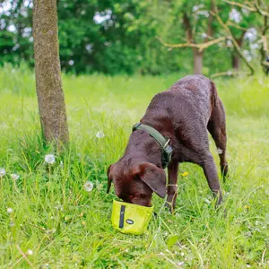 Dog travel bowls Nobby Pet Rio image-1