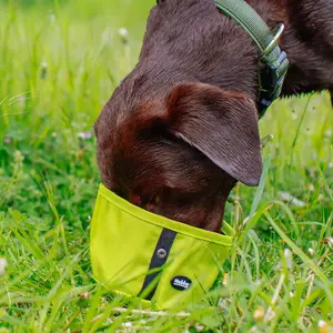 Dog travel bowls Nobby Pet Rio image-3