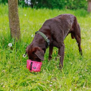 Reisenäpfe für Hunde Nobby Pet Rio image-1