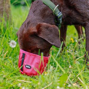 Reisenäpfe für Hunde Nobby Pet Rio image-2