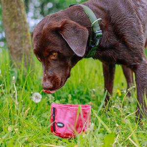 Reisenäpfe für Hunde Nobby Pet Rio image-3