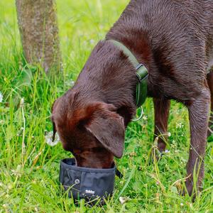 Reisenäpfe für Hunde Nobby Pet Rio image-2