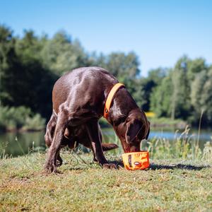 Reisenäpfe für Hunde Nobby Pet Rio image-4