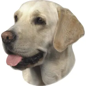 Αυτοκόλλητο Nobby Pet Labrador image-0