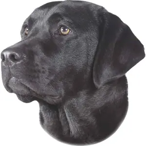 Aufkleber Nobby Pet Labrador image-0