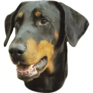 Naklejka Nobby Pet Doberman image-0