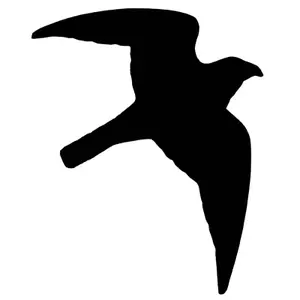 Etiketten Nobby Pet Bird Of Prey (x10) image-0